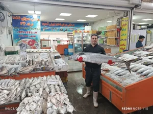 ماهی سرای ناخدا 3