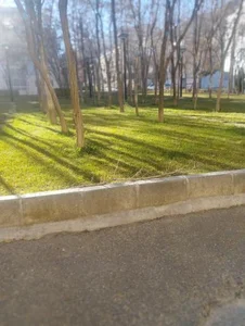 بوستان گلستان 2