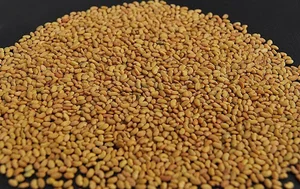 شرکت تعاونی کشاورزی یونجه کاران شهرستان همدان