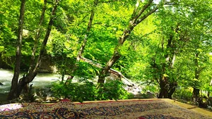 ویلا های برادران زحمتکش لب آب