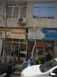 پل تاکسی 2