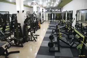 مجتمع فرهنگی ورزشی طلایی