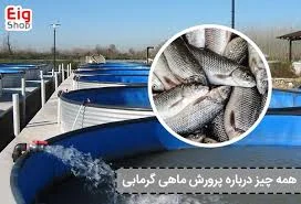 پرورش ماهی رامتین