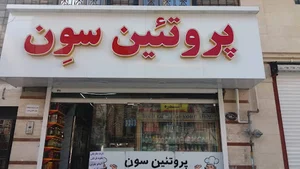 پروتئین سون