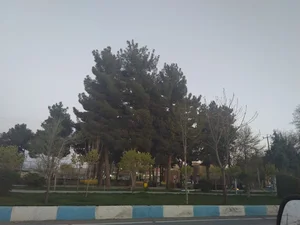 پارک گنبدسبز