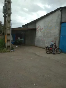 برنجکوبی مروارید سفید 2