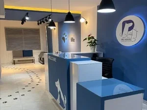 دامپزشکی گربه لوییس