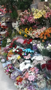 گل فروشي دشت گل