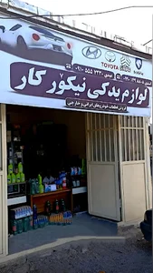 لوازم یدکی نیکور کار