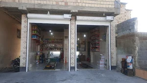 داوود
