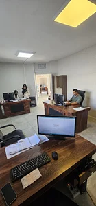 پخش بستنی دادلی
