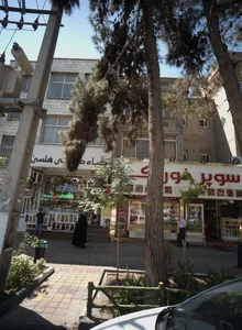 گیاه درمانی هلسی 2