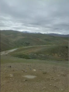 فروشگاه سید