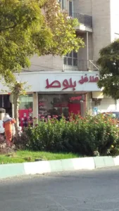فلافل بلوط 2