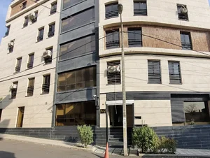 کارگزاری تامین سرمایه نوین