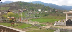 Masal
