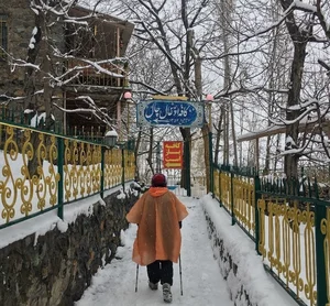 شیرینی سرای جام عسل