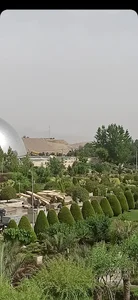 سروناز شیراز