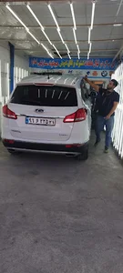 کارشناسی و تشخیص رنگ اسدی