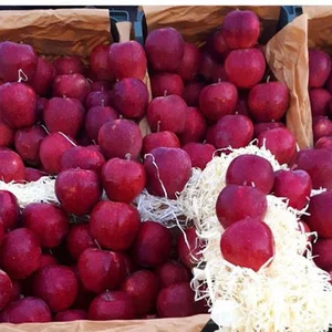 سوپر میوه مهدی