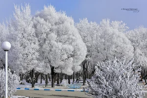 عکاسی سیما فرهنگ