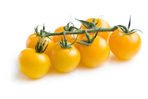 Foh International for Fruits & Vegetables فوح العالمية للخضار والفواكة