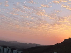 بام پردیس