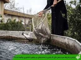 ماهیگیری