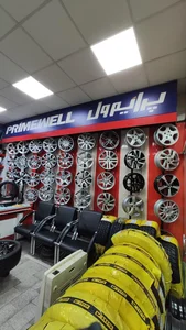 رینگ و لاستیک نازی‌نژاد 2