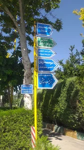 آوای شادی