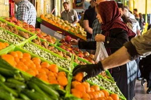 سبزی آماده باغچه