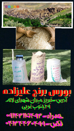 فروشگاه علیزاده