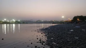پارک جزیره 3