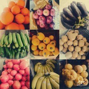 میوه سرا یزدانی