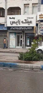 عینک زایس
