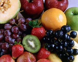 میوه فروشی عدالت