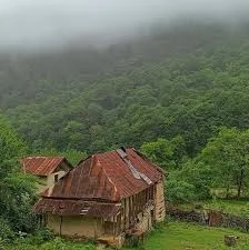 جنگل بندپی این جنگل زیبا در روستای بند پی که یکی از روستاهای خاص استان  مازندران و از توابع شهرستان نوشهر است، قراردارد از آن جایی که موقعیت مکانی  جنگل در این