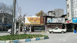 پروتئین مقدم