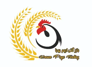 شرکت اروم پویا
