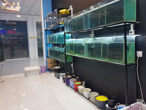 اکواریوم ناکتا