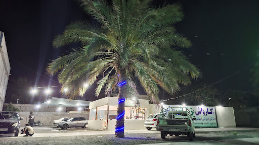 کارواش بزرگ شهر