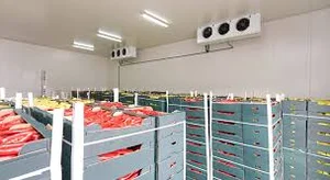 محل احداث سردخانه چند منظوره