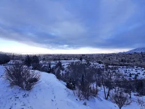 بوستان دانایی 5