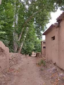 کوچه باغ