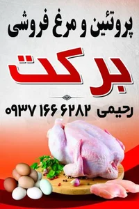 پروتئین و مرغ فروشی برکت