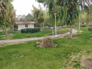 پارک لاله 3