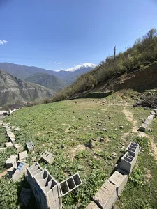 ملک مهدی رضایی