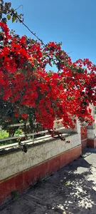 مجتمع مسکونی ساحلی شقایق