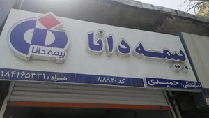 بیمه دانا نمایندگی حمیدی