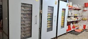 سانیار